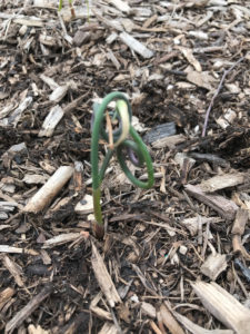 April 3-42