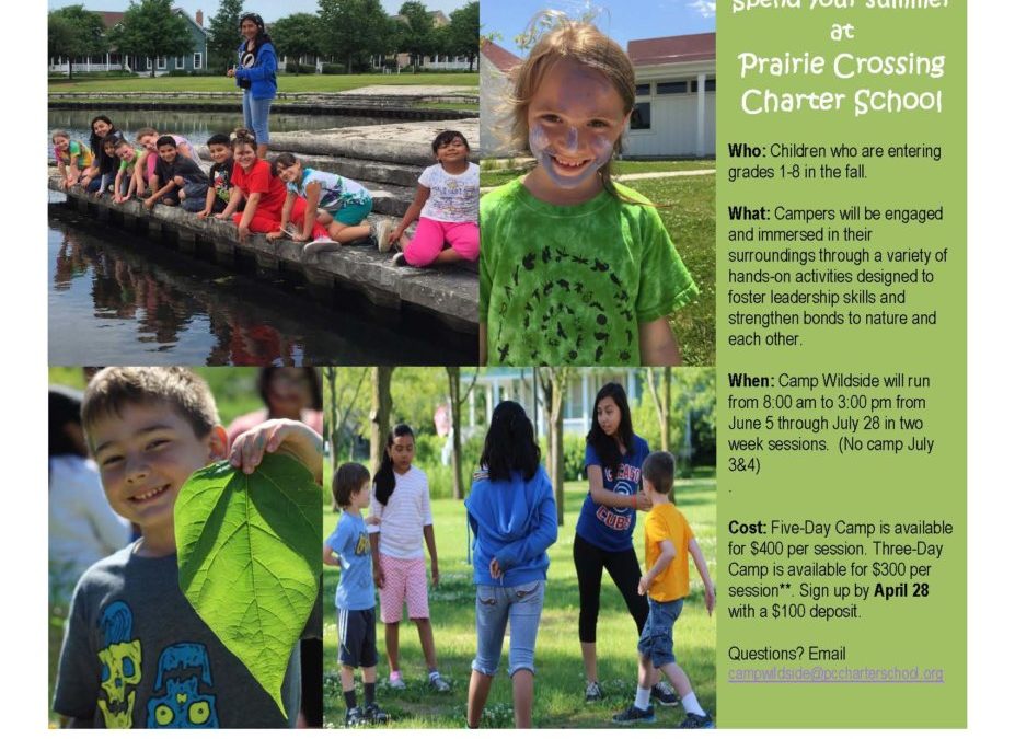 Looking for Summer Camps? Sign Up for Camp Wildside at PCCS!