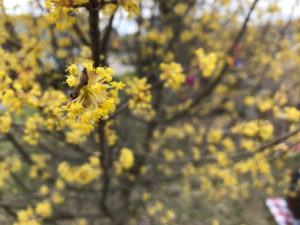 April 3-49